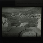 Böhl glass slide 41./2277